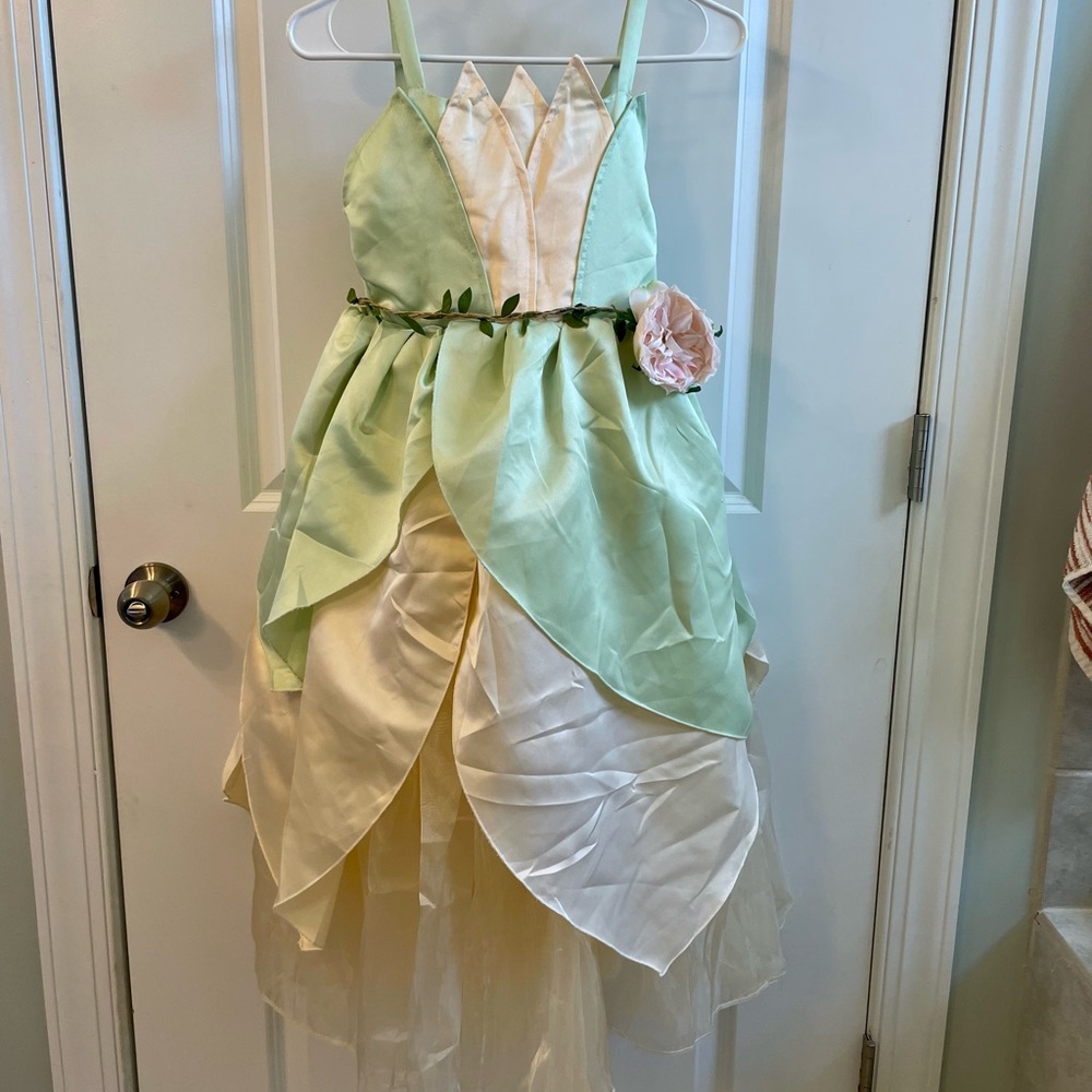 Princess Tiana Costume with accessories